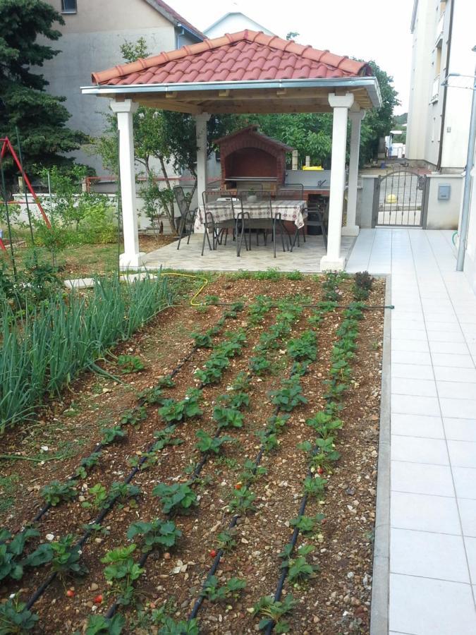 Sanja M 1 Orebić Exterior foto